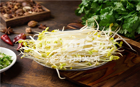 豆芽.jpg